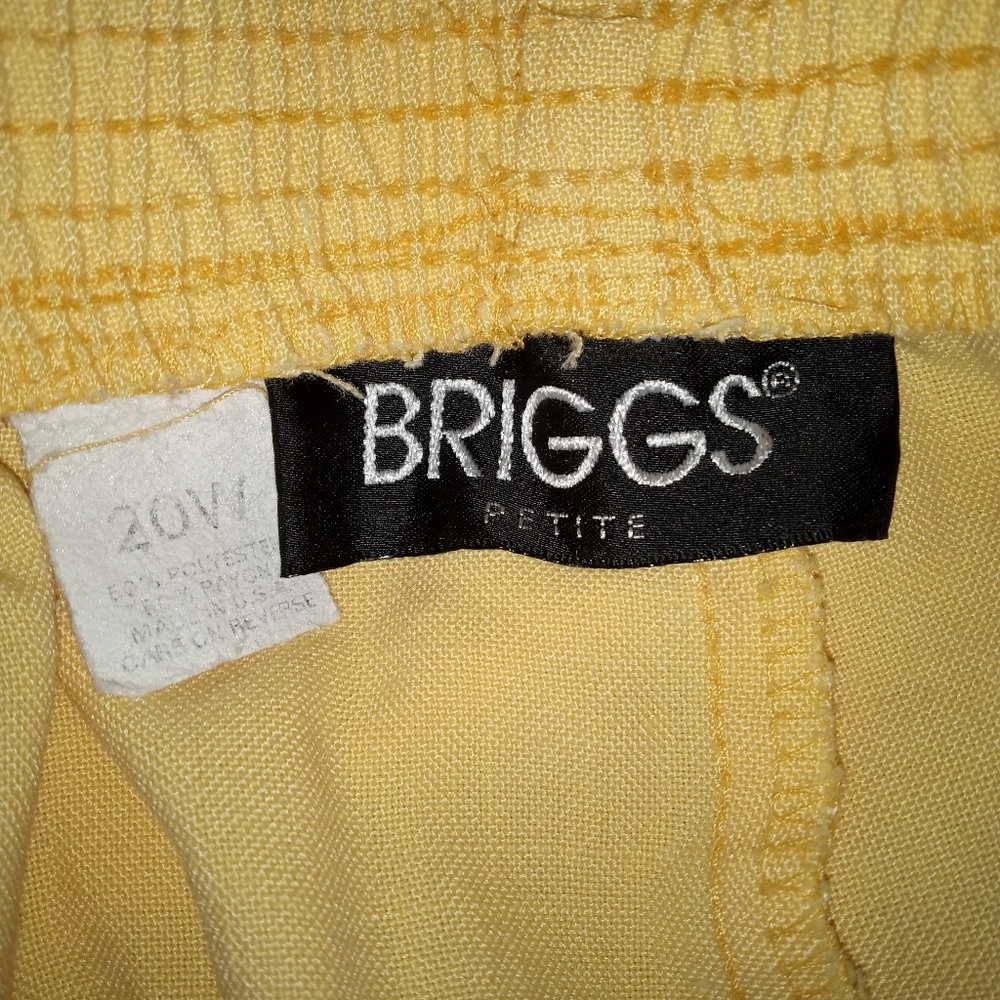 BRIGGS - Picture 3 of 5